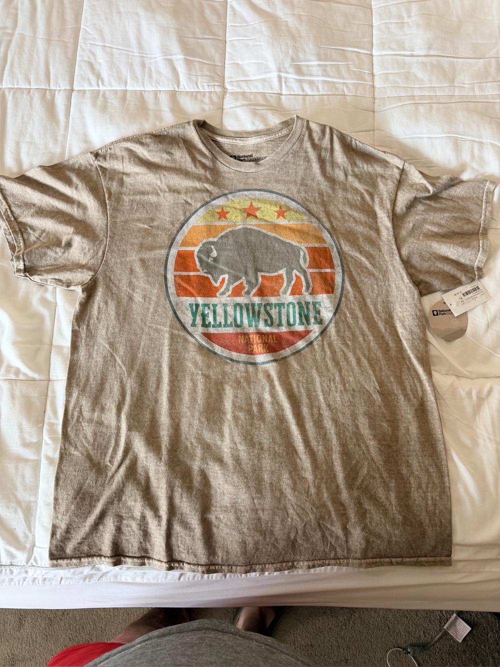 Yellowstone Buffalo Graphic Tee in Taupe
